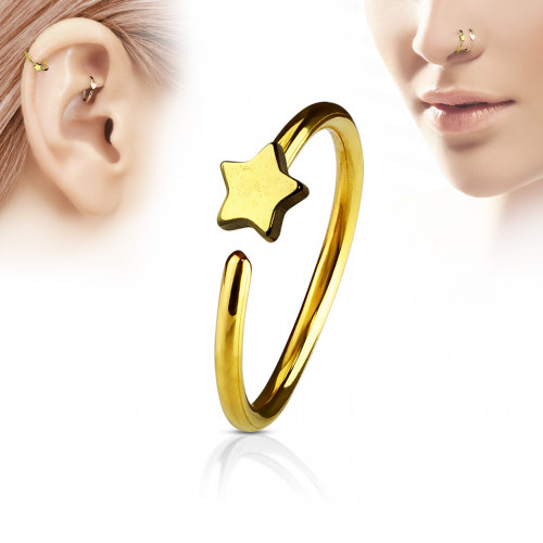 Купить серьга кольцо для пирсинга хеликса, трагуса, носа PiercedFish NOCR-12 в форме звезды оптом от 280 руб.