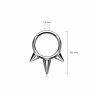 Купить кольцо кликер из титана с шипами PiercedFish RHT57 серьга для пирсинга септума, уха, брови, губ (диаметр от 8 мм до 10 мм) оптом от 740 руб.