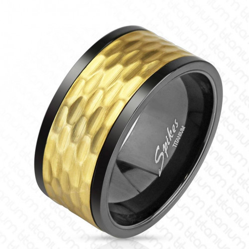 Купить мужское кольцо из титана Spikes R-TM-3870 с вращающейся серединой оптом от 1 070 руб.